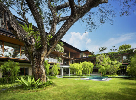 Embracing Nature: The Rain Tree House