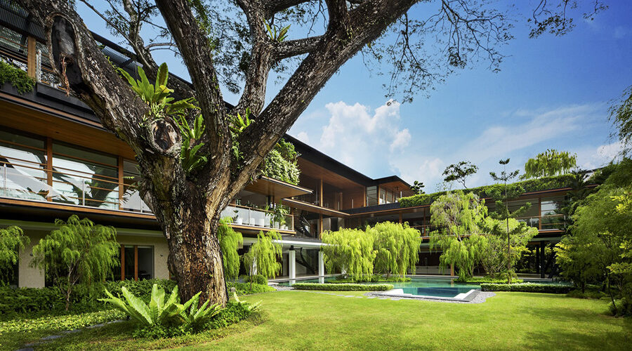 Embracing Nature: The Rain Tree House