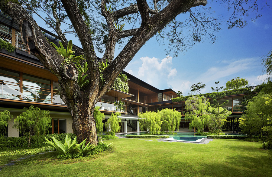 Embracing Nature: The Rain Tree House